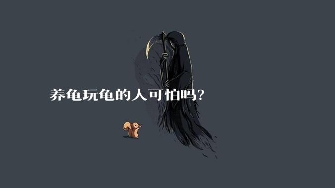 养龟玩龟的人可怕吗？