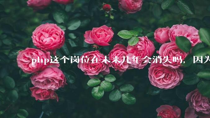 php这个岗位在未来几年会消失吗，因为刚从事php有点焦虑?