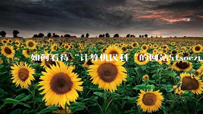 如何看待“计算机民科“的网站51soez已关站维护一周？