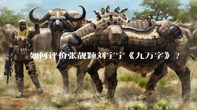 如何评价张靓颖刘宇宁《九万字》?